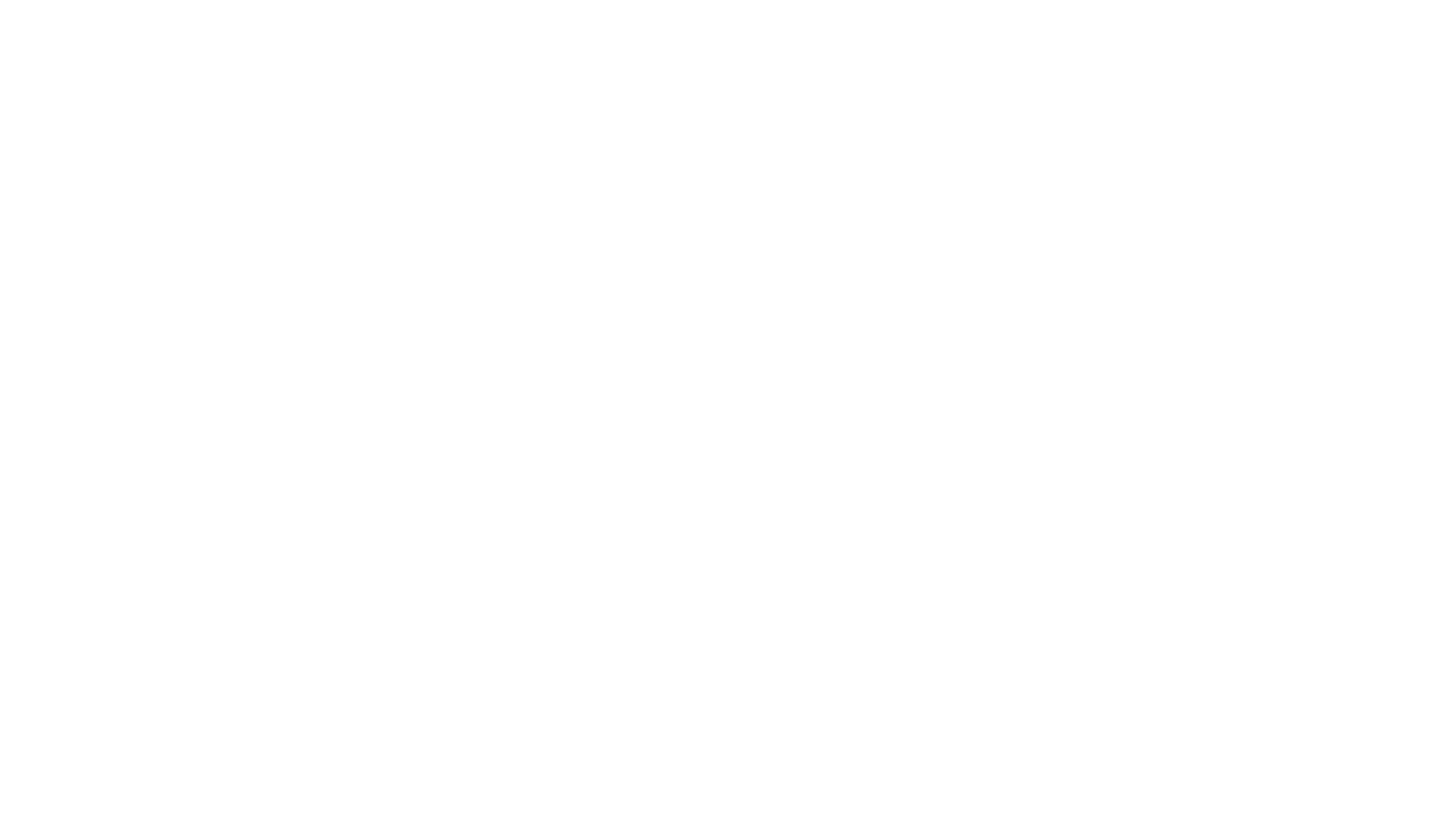MegaViajes · División Transmundo